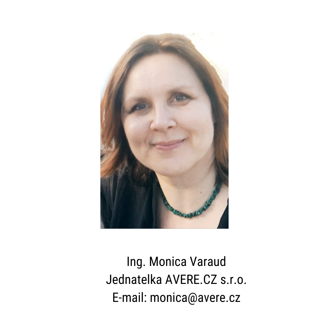 Ing. Monica VARAUD