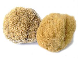 Přírodní mycí houba Karibská 12-13 cm