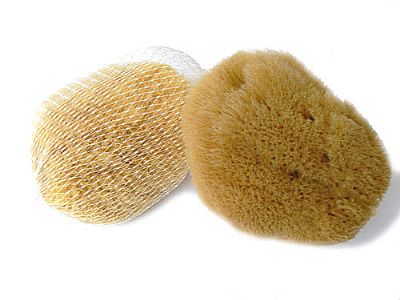Přírodní mycí mořská houba Karibská 9-11 cm