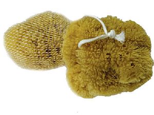 Přírodní mycí mořská houba Karibská 12-13 cm s provázkem