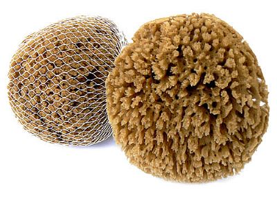 Přírodní mycí houba hnědá 13-14  cm