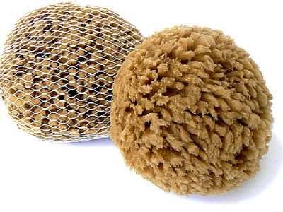 Přírodní mycí houba hnědá 11-12  cm