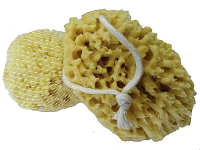 Přírodní mycí mořská houba 9-10 cm s provázkem