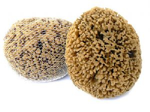 Přírodní mycí houba hnědá 15-16 cm