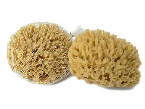 Přírodní mycí mořská houba 9-11 cm